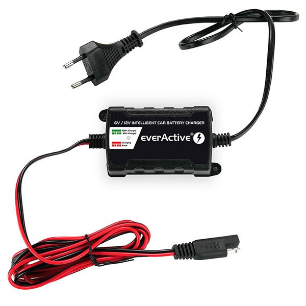 EVERACTIVE-CBC1_3.JPG