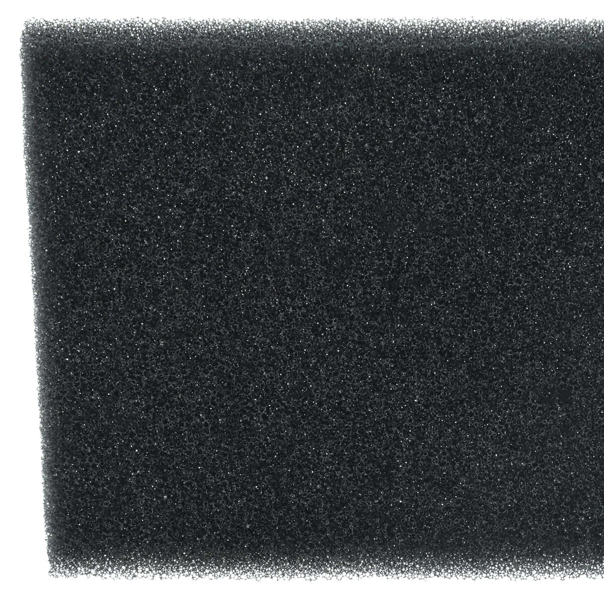 LX889005421_6.jpg