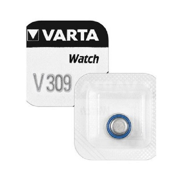 V309_1.JPG