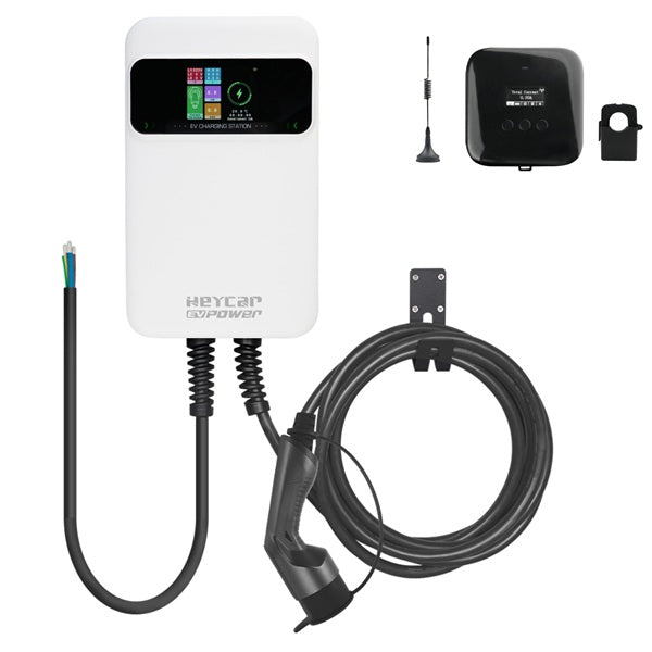 EVC-SQ1-DLB-HEY_1.jpg