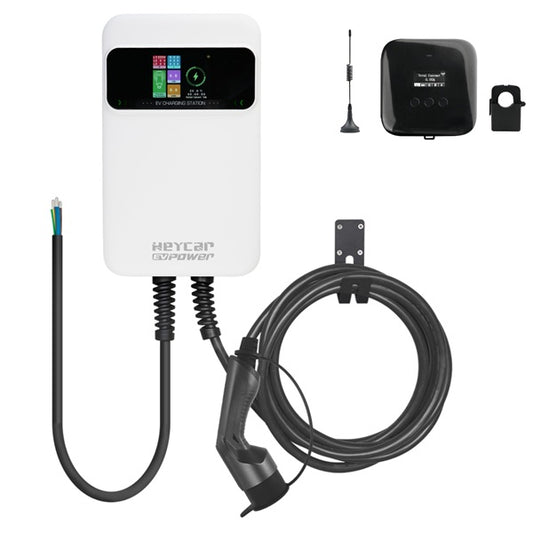EVC-SQ1-DLB-HEY_1.jpg