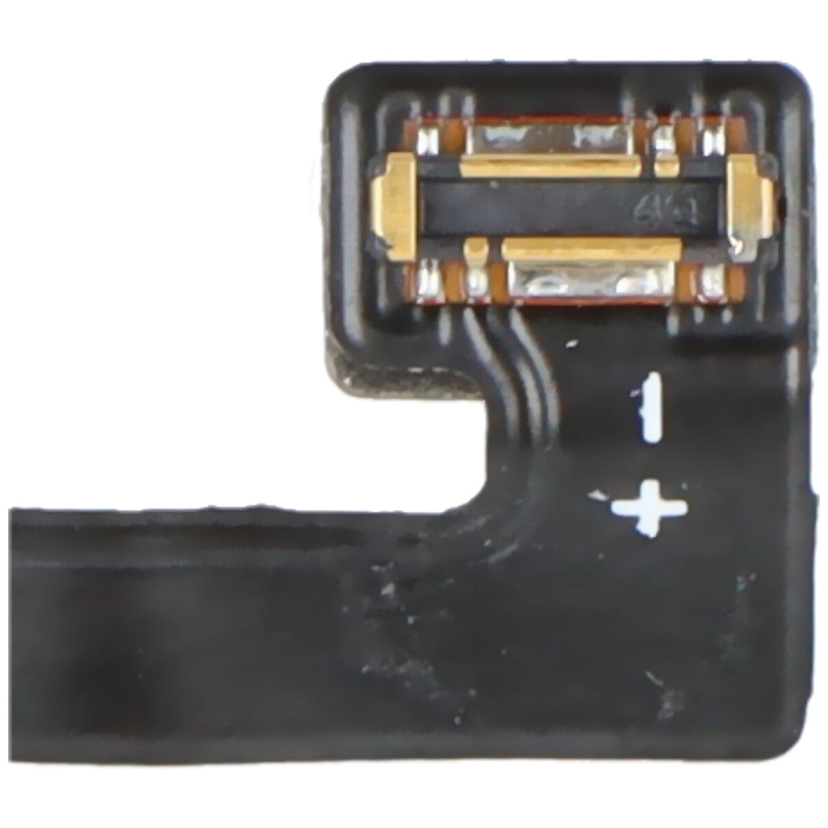 LX31475_3.jpg
