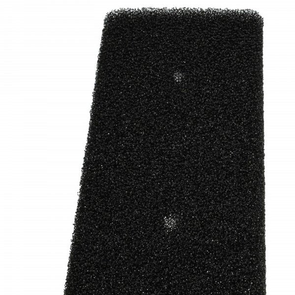 LX800116969_3.jpg