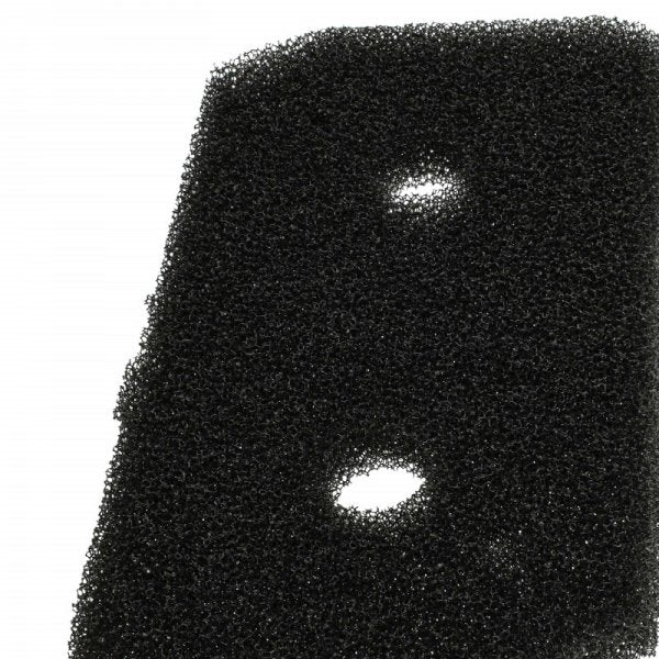 LX888101162_3.jpg