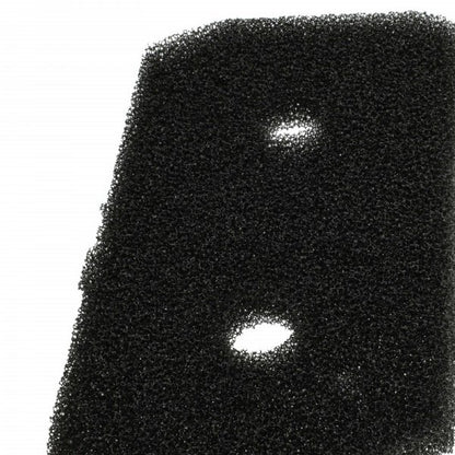 LX888101162_3.jpg