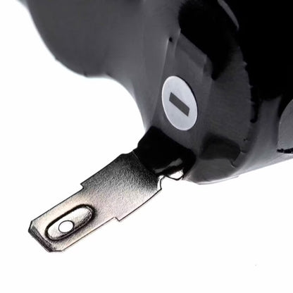 LX888200543_2.jpg