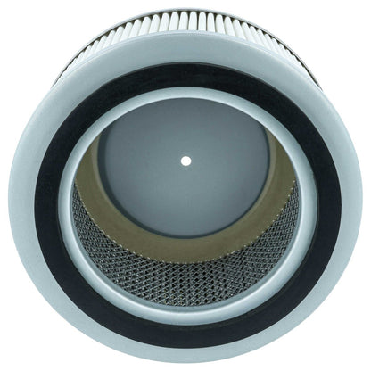 LX889004818_4.jpg