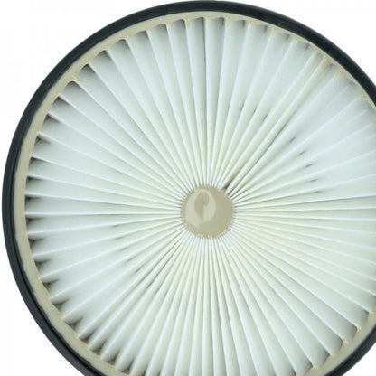LX889005048_4.jpg