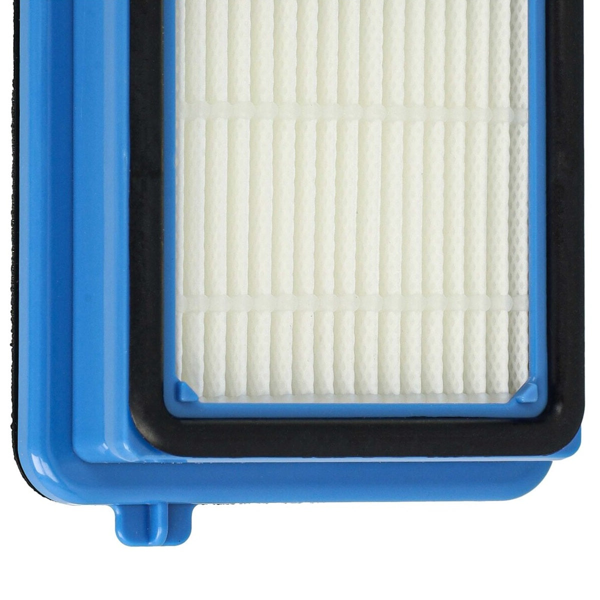 LX889006198_6.jpg