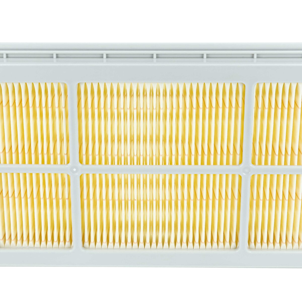 LX889006290_6.jpg