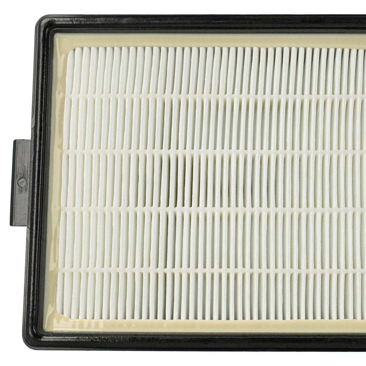 LX889006440_6.jpg